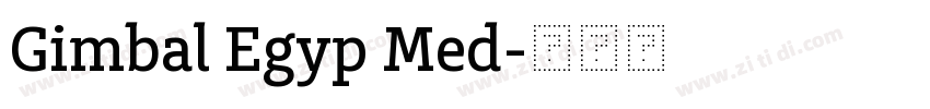 Gimbal Egyp Med字体转换